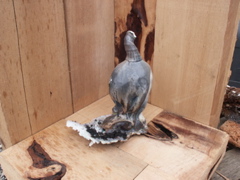 PICT3292.JPG