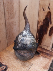 PICT3472.JPG