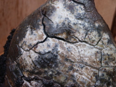 PICT3476.JPG