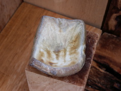 PICT3488.JPG