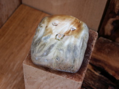 PICT3491.JPG