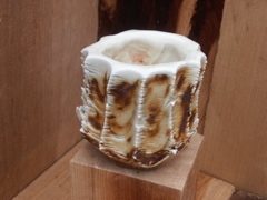 PICT3321.JPG