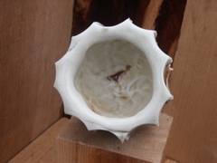 PICT3323.JPG