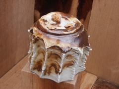 PICT3324.JPG