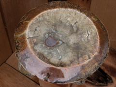 PICT3329.JPG