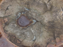 PICT3330.JPG
