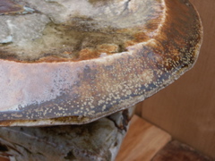 PICT3331.JPG