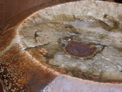 PICT3335.JPG