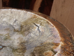 PICT3337.JPG