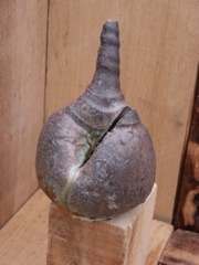 PICT3357.JPG