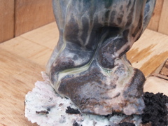 PICT3299.JPG