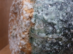 PICT3370.JPG