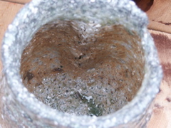 PICT3375.JPG