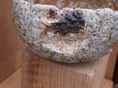 PICT3380.JPG