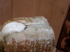 PICT3386.JPG