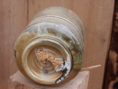 PICT3405.JPG