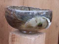 PICT3419.JPG