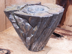 PICT3429.JPG