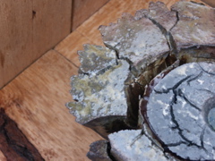 PICT3430.JPG