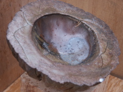 PICT3439.JPG