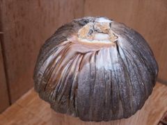 PICT3441.JPG