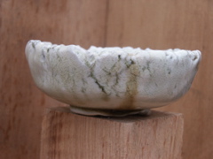 PICT3445.JPG