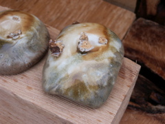 PICT3454.JPG
