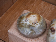 PICT3455.JPG
