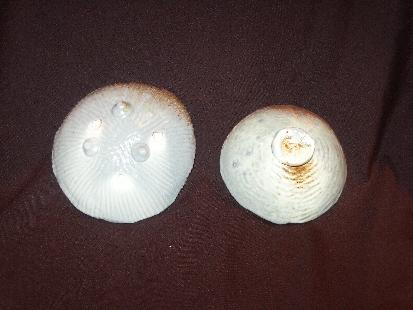 4th anagama firing, pottery, yakishime