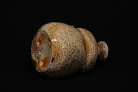 gourd vase