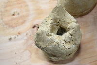I'm king of mold