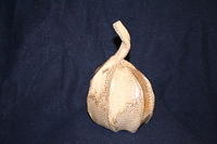 stomach bottle