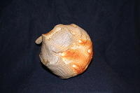 stomach bottle