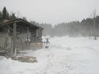 Winter Scene