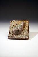 Wall Hanging -- Thorned Organ
